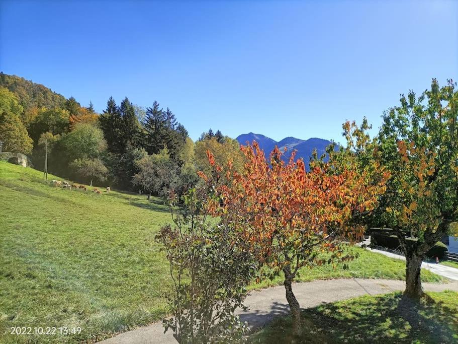 Gite Coeur De Haute-Savoie Viuz-en-Sallaz Eksteriør billede