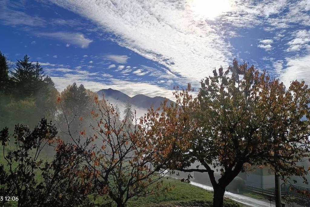 Gite Coeur De Haute-Savoie Viuz-en-Sallaz Eksteriør billede