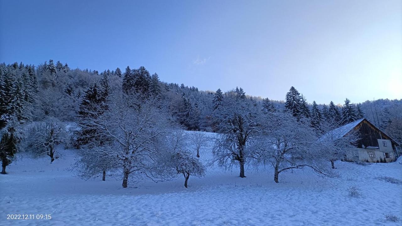 Gite Coeur De Haute-Savoie Viuz-en-Sallaz Eksteriør billede