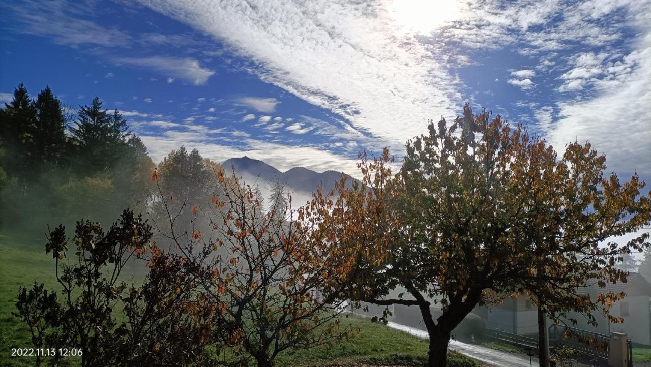 Gite Coeur De Haute-Savoie Viuz-en-Sallaz Eksteriør billede
