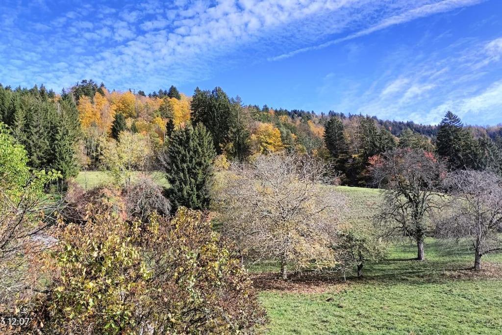 Gite Coeur De Haute-Savoie Viuz-en-Sallaz Eksteriør billede
